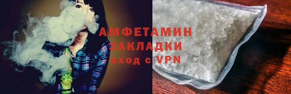 индика Богданович