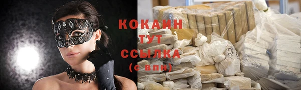 индика Богданович