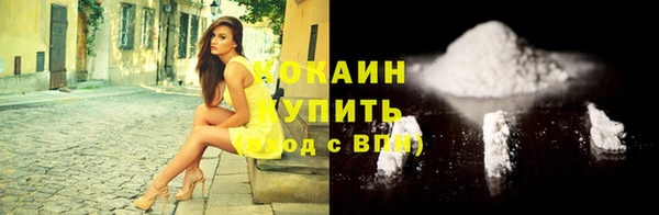 индика Богданович