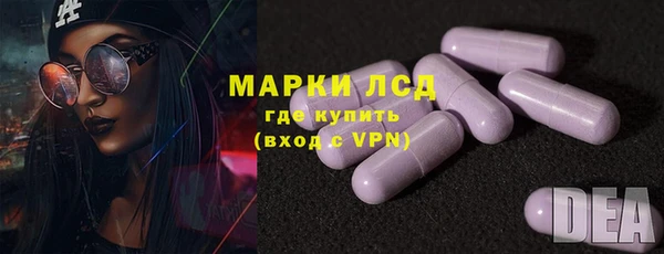 индика Богданович