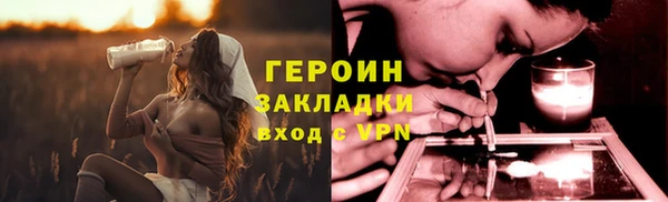 сатива Беломорск