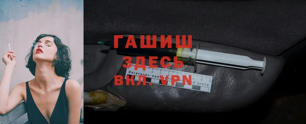 индика Богданович