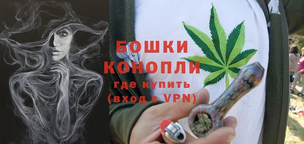 индика Богданович