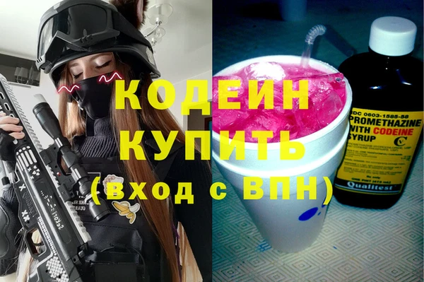 сатива Беломорск